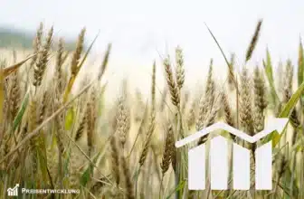 Entwicklung der Weizenpreise in Deutschland (1950-2023)